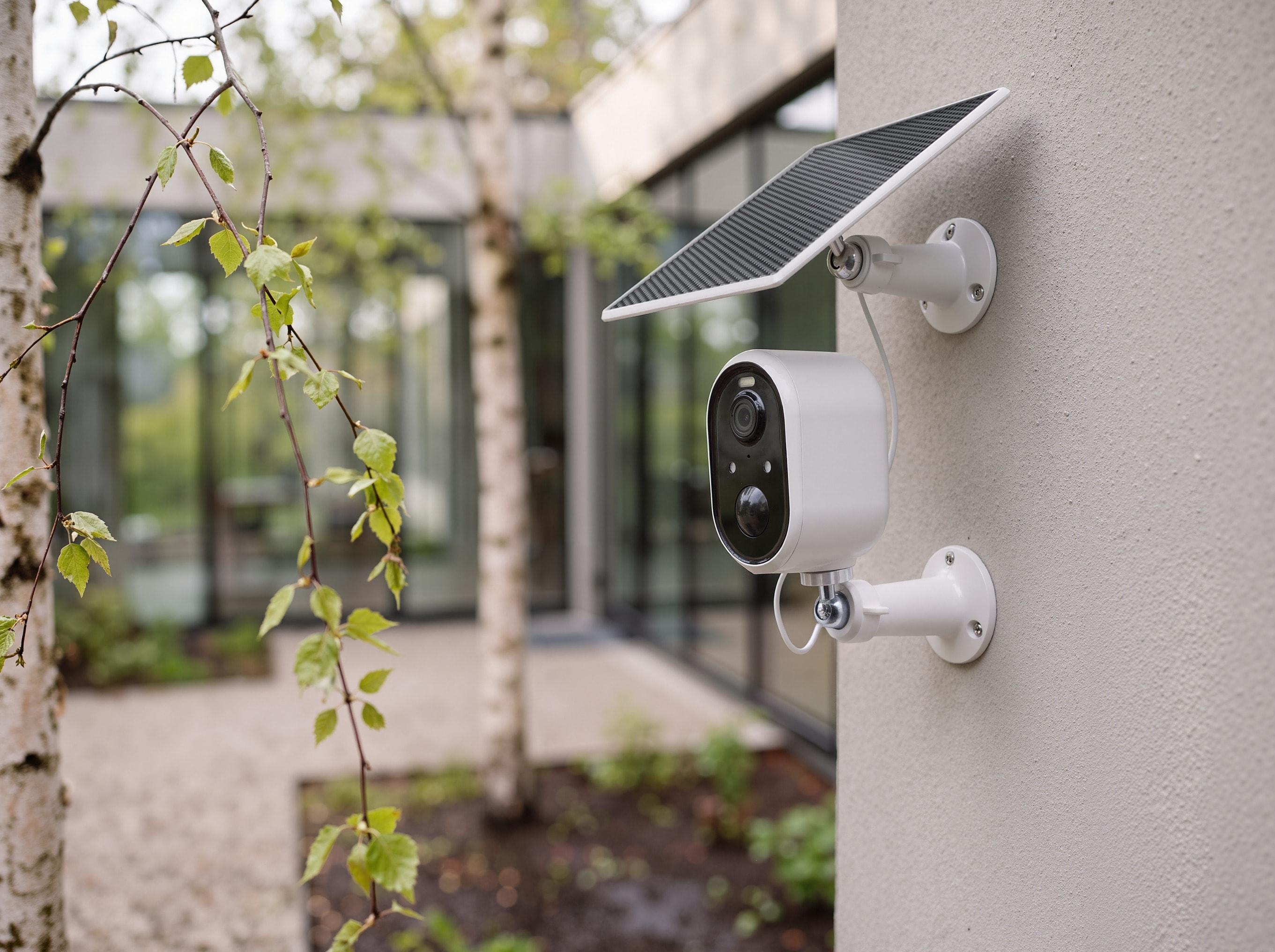 Octopus Outdoor Camera, photo 1